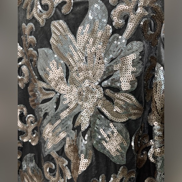 Soft Surroundings Glistening Sequin & Velour Jersey Knit Lined Sweatshirt Sz XL - Picture 3 of 9